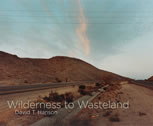 Wilderness to Wasteland